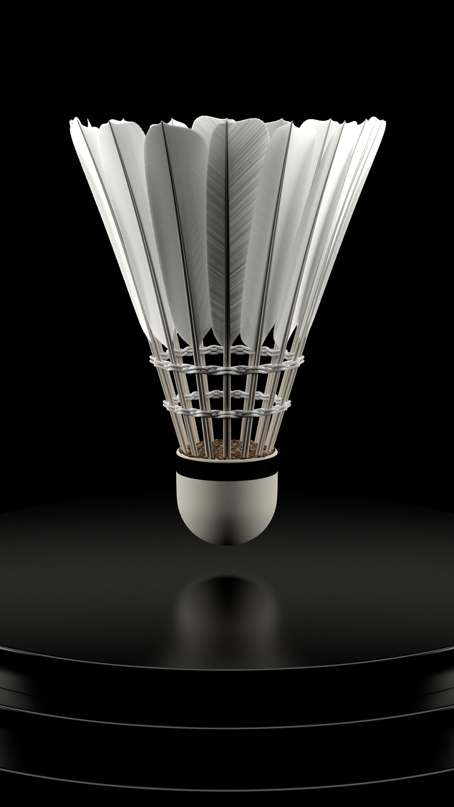 队可能会感 队可能会感