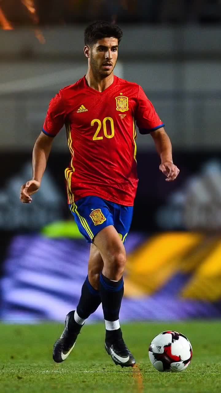 装饰性IA 装饰性IA